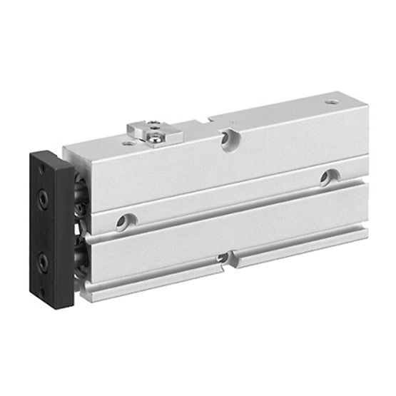 Aventics R402000882, Doppelkolbenzylinder, TWC-DA-020-0050-RL-SE