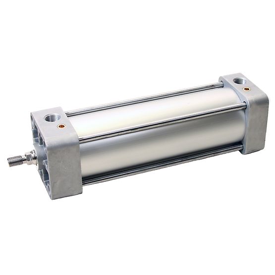 Aventics R480698482, Profilzylinder NFPA, Serie TM5