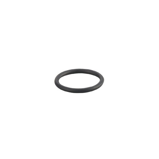 IFM E30438 - O-ring O-RG 26,00X 3,00/EPDM/70/SW