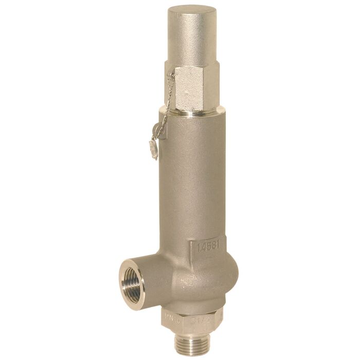 END Armaturen NG303027, Entlastungsventil 11/2"-1", Eingang/Ausgang mit gasdichter Kappe, Edelstahl