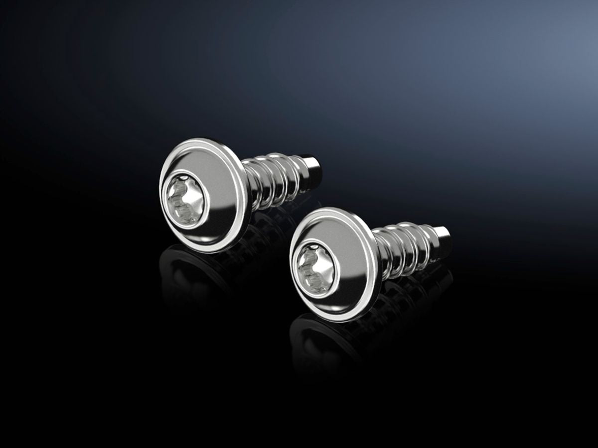 Rittal AX 1485.300, Screws for interior installation for AX plastic