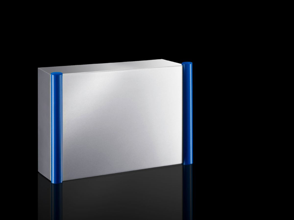 Rittal CP 6539.010, Command panel housing with door Stainless steel